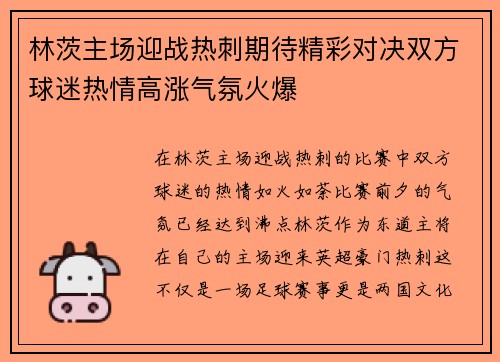 林茨主场迎战热刺期待精彩对决双方球迷热情高涨气氛火爆