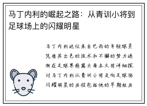马丁内利的崛起之路：从青训小将到足球场上的闪耀明星