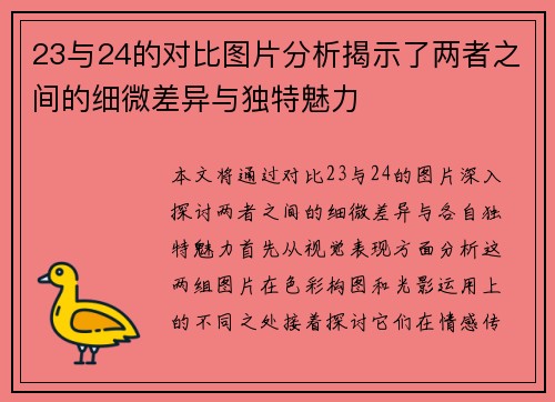 23与24的对比图片分析揭示了两者之间的细微差异与独特魅力