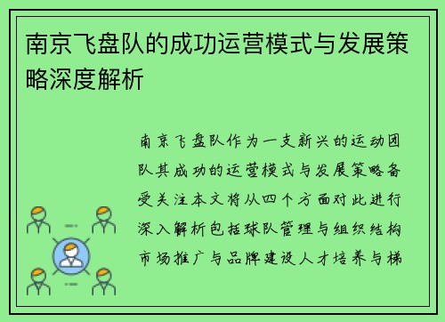 南京飞盘队的成功运营模式与发展策略深度解析